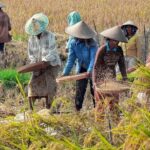 Nilai Tukar Petani Riau Naik 2,50 Persen, Tertinggi di Sumatera