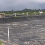 Wako Dumai Tebar Dua Juta Benur Udang Vaname, Berharap Jadi Produsen di Riau