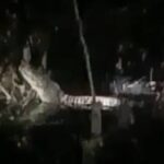 Warga Riau Diterkam Buaya Saat Buang Air Kecil