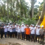 Panen Sawit PSR Rohil Riau di Tengah Anjloknya Harga TBS, Ayo Sama-sama Berdoa