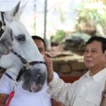 KLAIM Gerindra, Semua Orang Kini Mendekati Prabowo 