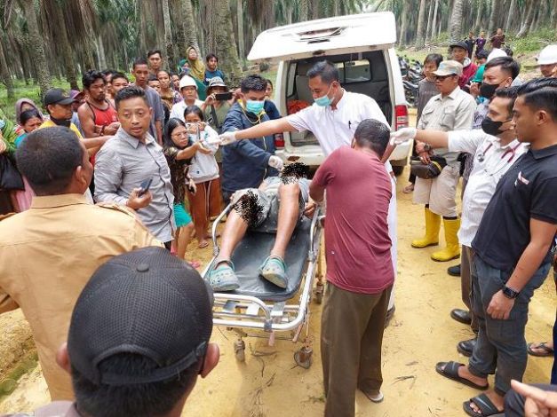 Jenazah Maganar saat dimasukkan ke mobil ambulans. F : IST
