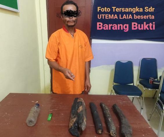 Tersangka karhutla di Rohil Riau yang ditangkap polisi
