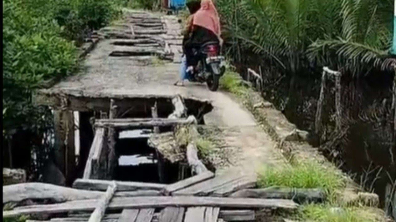 Kondisi jalan sakaratul maut Inhil yang mengenaskan. F. : IST