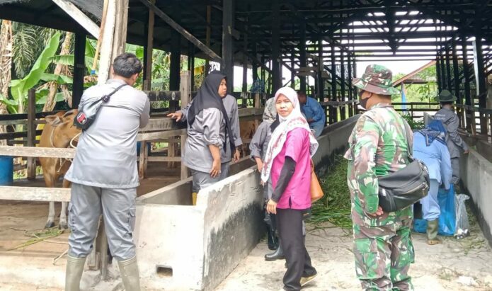Vaksinasi ternak di Tanjungpalas Dumai