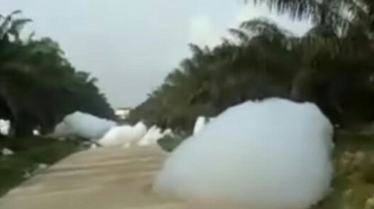 Gumpalan awan yang jatuh di kebun sawit Kampar, Riau. F. :. DETIK.COM