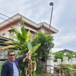 TKP korban tersengat arus listrik. F. :. CAKAPLAH.COM
