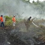 Tim gabungan memadamkan api Karhutla di Rohil