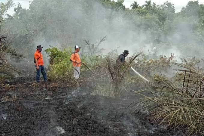 Tim gabungan memadamkan api Karhutla di Rohil