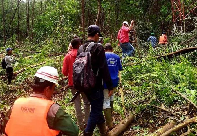Petugas BKSDA Riau memasang.perangkap di lokasi serangan harimau terhadap warga baru-baru ini. F : RIAULINK.COM