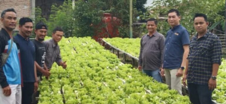 Ketua Kadin Dumai, Zulfan Ismaini bersama pihak City Mall dan Farmers meninjau sayuran hidroponik UMKM lokal. F THEKINGBINGAL.COM