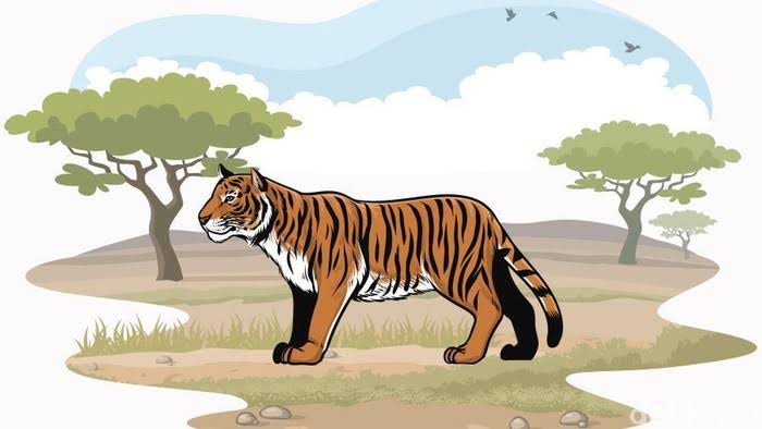 Mengenaskan! Perempuan Tewas Diterkam Harimau, Korban Karyawan HTI di Kuala Kampar
