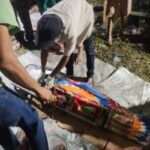 BOCAH 11 TENGGELAM Ditemukan Tewas Mengambang di Sungai Siak