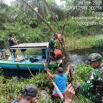 VIRAL ROHIL : Mengganas! Buaya Terkam Pencari Rumput di Parit Bantaian