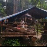BBKSDA Bakar Empat Pondok Illegal Logging di SM Rimbang Baling Kuansing