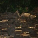 PETANI Rohil Terciduk Polisi Gegara Angkut Kayu Ilegal