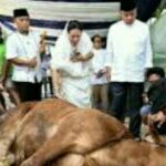 HIKMAH : Mengenal Hari Tasyrik, Amalan Utama dan Larangannya Bagi Muslim