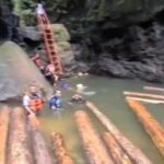 VIRAL Kampar : Pemandian Wisata Gulamo Dipenuhi Kayu Gelondongan