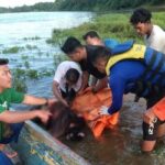 POLISI Periksa Dosen dan 13 Mahasiswa PCR, Ospek Minta Tumbal Nyawa