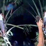 GEGER! Ada Mayat di Atas Pokok Sawit Malam Hari, Ditemukan di Kecamatan Pinggir