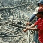 PETANI Sawit Terpergok Bakar Lahan di Sungai Bakau Rohil