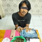 PENANGKAPAN Narkoba Terbaru : Polisi Cokok Pengedar Ganja di Dayun Siak