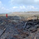 Karhutla Meluas, Lima Kecamatan di Siak Dikepung Api