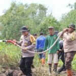 Tujuh Orang Ditahan, Luas Karhutla di Riau Capai 1,5 Ribu Ha