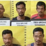 Lima Maling Sawit di Talang Jerinjing Inhu Positif Narkoba