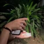 Demi Selingkuhan, Emak emak di Tanjung Pinang Jebak Suami dengan Sabu 
