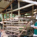Komitmen Apical Kembangkan Budidaya Ternak Kambing di Dumai