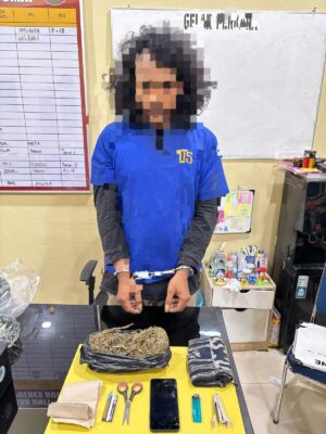 Pria Gimbal Kedapatan Simpan Ganja 360 Gram di Rimba Sekampung Dumai 