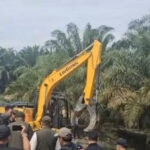 Sawit Kawasan TNTN Bakal Dikelola Pemerintah? Satgas PKH: Jika Komersil Kenapa Ditumbang 
