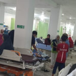 Sembilan Warga Pekanbaru Digigit Anjing Gila, Korban Masih Dirawat 