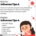 Lima Anak Suku Talang Mamak Meninggal, Inhu KLB Influenza A