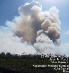Riau Kembali Membara, Ditemukan 244 Titik Api, Terbanyak di Pelalawan 