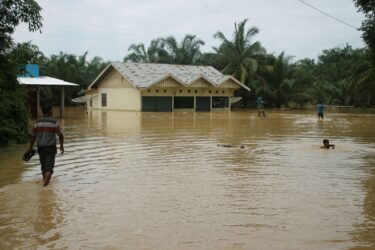 Tanjung Medang Kuansing Diterjang Banjir 2 Meter, Puluhan Rumah Tenggelam – Akses Jalan Putus 