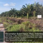 Temuan Mengejutkan! Dapat KSO Agrinas, Diduga Pengurus Koperasi PMJAS Sebelumnya Pengelola Lahan Sitaan Satgas PKH