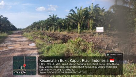 Temuan Mengejutkan! Dapat KSO Agrinas, Diduga Pengurus Koperasi PMJAS Sebelumnya Pengelola Lahan Sitaan Satgas PKH
