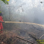 Tanjung Kapal Rupat Dilanda Karhutla, Tim Berjibaku Padamkan Api 