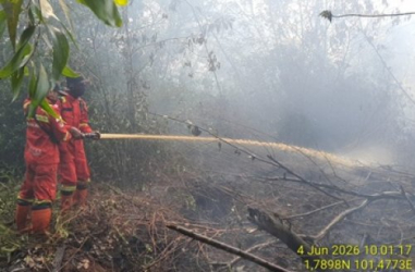 Tanjung Kapal Rupat Dilanda Karhutla, Tim Berjibaku Padamkan Api 