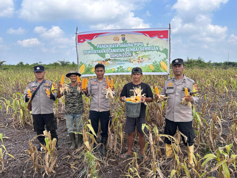 Polsek Sungai Sembilan Panen Jagung Pipil 1,2 Ton di Lubuk Gaung