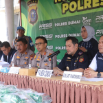 KLM Pinisi Indah Angkut Sabu 25,8 Kilo Milik Warga Rupat, Tersangka Dibekuk di Dumai