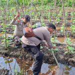 Bhabinkamtibmas Basilambaru dan Tanjung Penyembal Cek Pekarangan Pangan Bergizi 