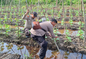 Bhabinkamtibmas Basilambaru dan Tanjung Penyembal Cek Pekarangan Pangan Bergizi di Parit Kitang 