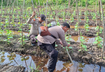 Bhabinkamtibmas Basilambaru dan Tanjung Penyembal Cek Pekarangan Pangan Bergizi 