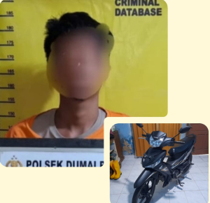Rumah Emak emak di Mekarsari Dumai Dimasuki Maling, HP dan Motor Lesap 