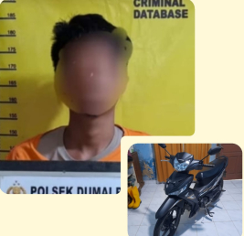 Rumah Emak emak di Mekarsari Dumai Dimasuki Maling, HP dan Motor Lesap 