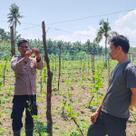 Bhabinkamtibmas Polsek Sei Sembilan Cek Pekarangan Bergizi Warga di Mampu Jaya 