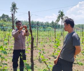 Bhabinkamtibmas Polsek Sei Sembilan Cek Pekarangan Bergizi Warga di Mampu Jaya
